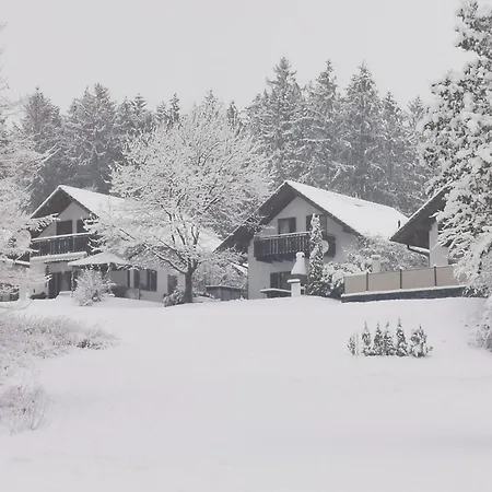 Nina * Kirchheim (Hessen)